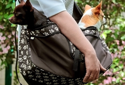 Taška na prepravu psa Beverly Hills, L