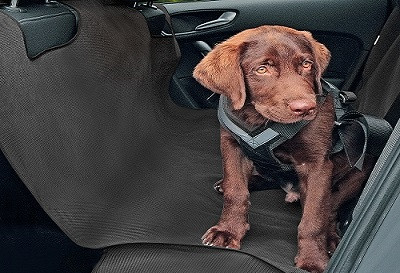 Závesné lôžko ALEX na bezpečné prevážanie psa, L